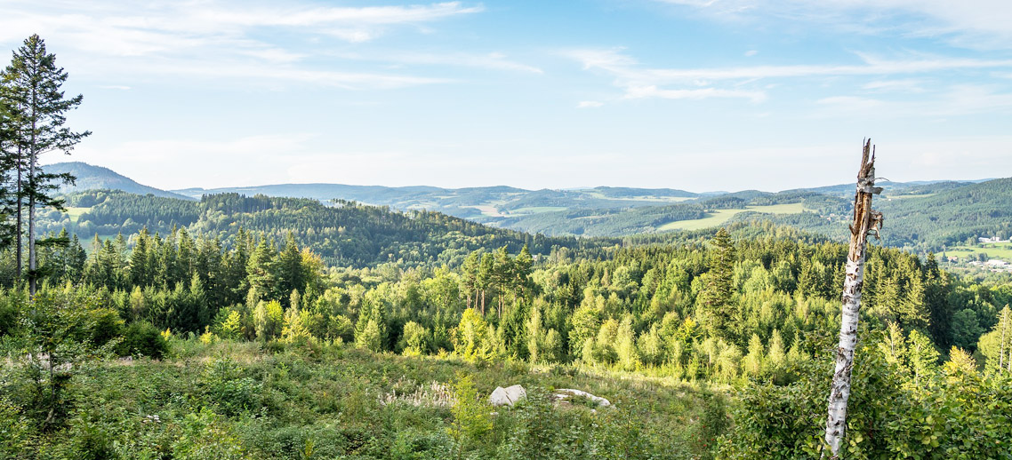 Šumava